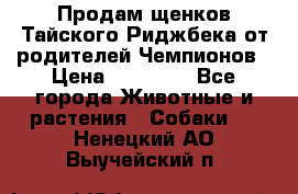 Продам щенков Тайского Риджбека от родителей Чемпионов › Цена ­ 30 000 - Все города Животные и растения » Собаки   . Ненецкий АО,Выучейский п.